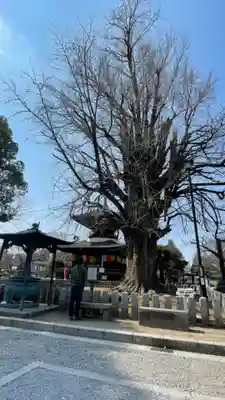 鑁阿寺(栃木県)