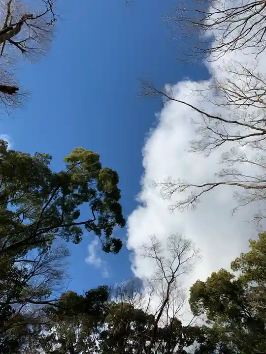 河合神社(鴨川合坐小社宅神社)(京都府)