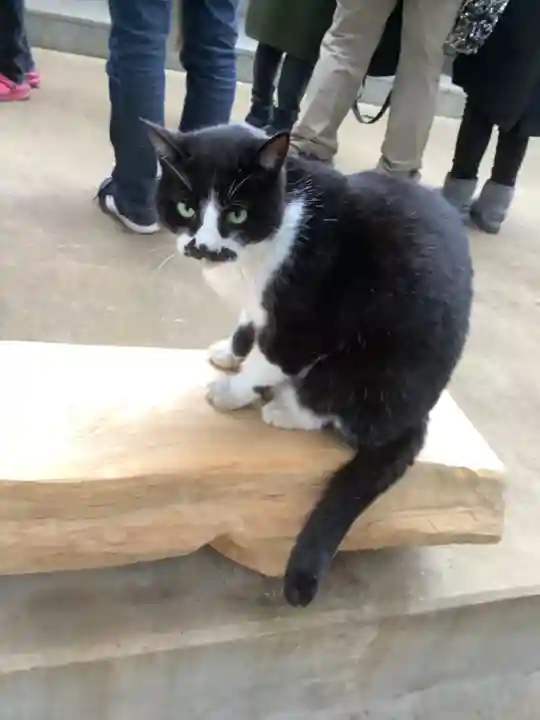 玉野御嶽神社(愛知県)