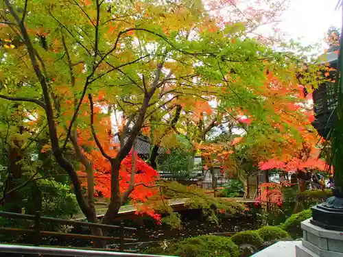 大正寺の庭園