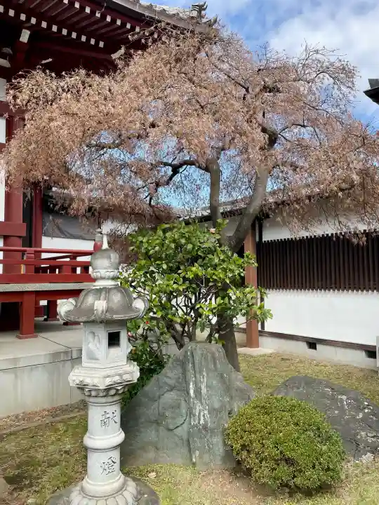 成佛寺の{uncategorized: "未分類", other: "その他", undefined: "問題あり", building: "その他建物", grave: "お墓", sacred_gate: "鳥居", guardian: "狛犬", statue: "像", buddha: "仏像", history: "歴史", nature: "自然", garden: "庭園", animal: "動物", pagoda: "塔", temizu: "手水舎", mountain_gate: "山門・神門", sanctuary: "本殿・本堂", subordinate: "末社・摂社", art: "芸術", scenery: "景色", jizo: "地蔵", ema: "絵馬", goshuin: "御朱印", omikuji: "おみくじ", items: "授与品その他", amulet: "お守り", goshuincho: "御朱印帳", eats: "食事", festival: "お祭り", votive_dance: "神楽", shichigosan: "七五三参", wedding: "結婚式", experience: "体験その他", initially: "初詣", around: "周辺", anti_infection: "感染症対策"}