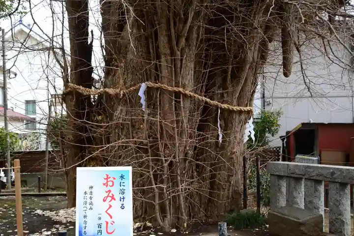 鶴嶺八幡宮の自然