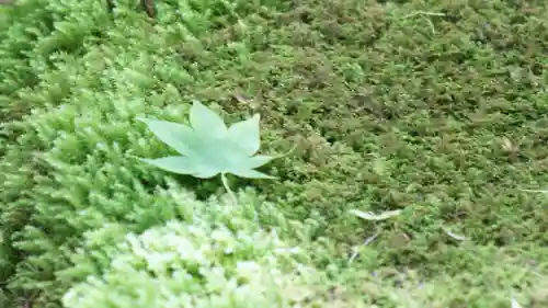 祇王寺(京都府)