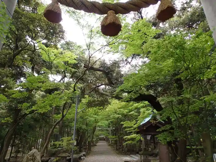 気多御子神社の自然