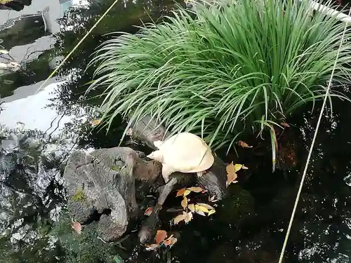 谷保天満宮(東京都)