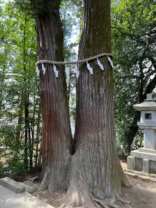 聖神社(埼玉県)