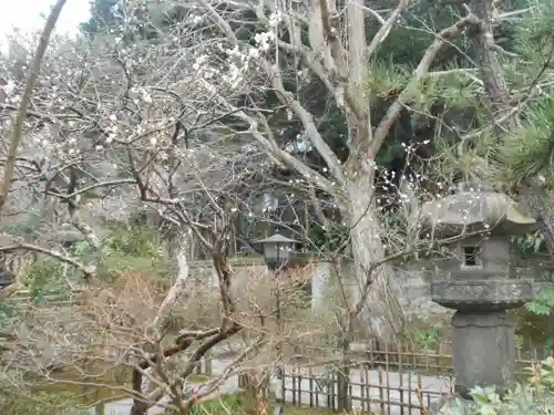 安國論寺（安国論寺）の庭園