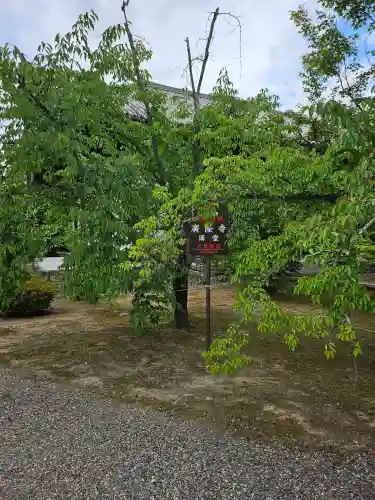 廣隆寺(京都府)