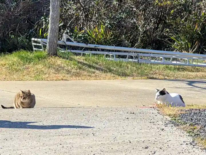 比田勝金比羅神社(長崎県)