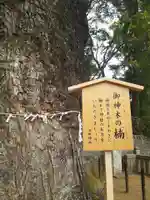 五所神社(神奈川県)