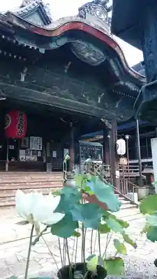 行願寺(革堂)の本殿・本堂