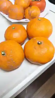 持宝院の授与品その他