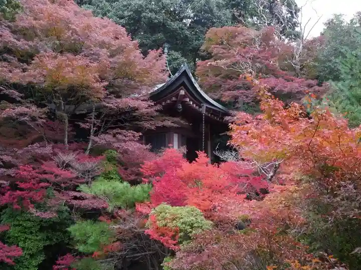 毘沙門堂門跡の自然