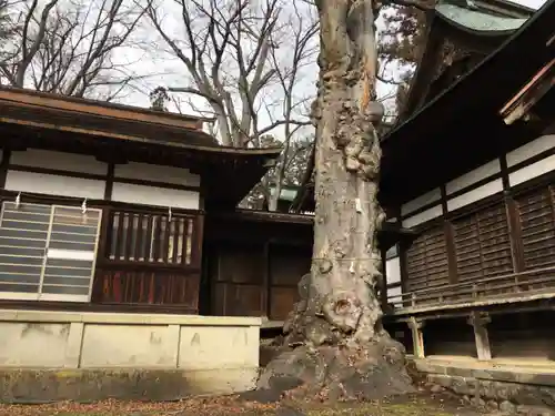 妻科神社のその他建物