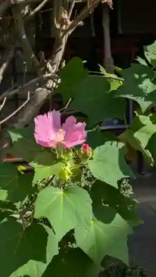 後白河院御聖蹟　法住寺(京都府)