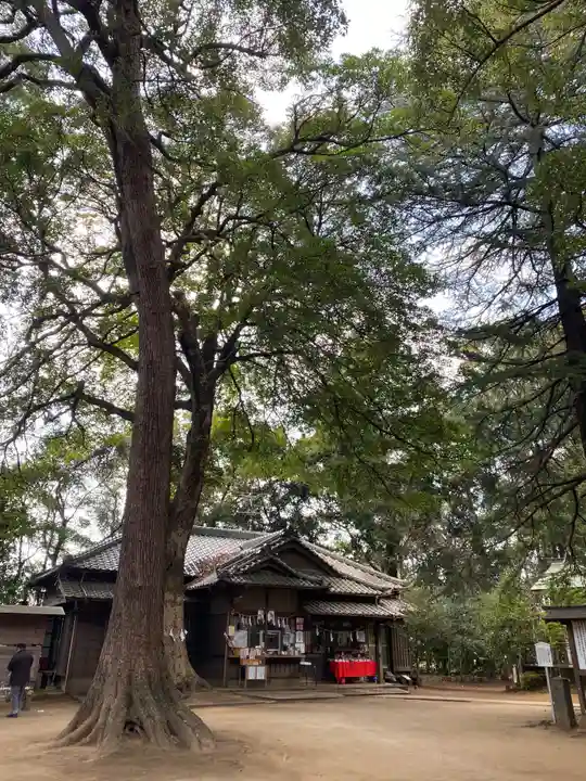 氷川女體神社のその他建物