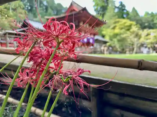 丹生都比売神社(和歌山県)