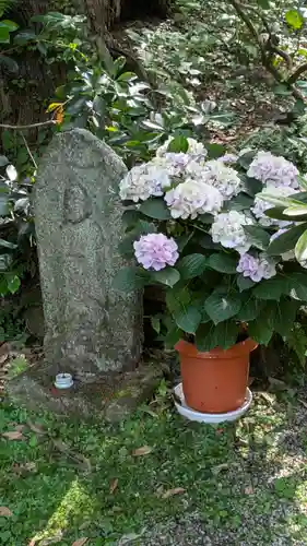 岡寺（龍蓋寺）(奈良県)