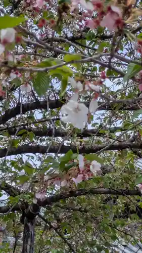 本法寺(京都府)