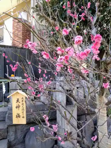 小野照崎神社(東京都)