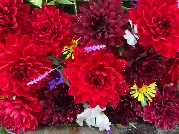 祖母井神社の手水舎
