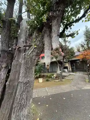 寿徳寺の{uncategorized: "未分類", other: "その他", undefined: "問題あり", building: "その他建物", grave: "お墓", sacred_gate: "鳥居", guardian: "狛犬", statue: "像", buddha: "仏像", history: "歴史", nature: "自然", garden: "庭園", animal: "動物", pagoda: "塔", temizu: "手水舎", mountain_gate: "山門・神門", sanctuary: "本殿・本堂", subordinate: "末社・摂社", art: "芸術", scenery: "景色", jizo: "地蔵", ema: "絵馬", goshuin: "御朱印", omikuji: "おみくじ", items: "授与品その他", amulet: "お守り", goshuincho: "御朱印帳", eats: "食事", festival: "お祭り", votive_dance: "神楽", shichigosan: "七五三参", wedding: "結婚式", experience: "体験その他", initially: "初詣", around: "周辺", anti_infection: "感染症対策"}