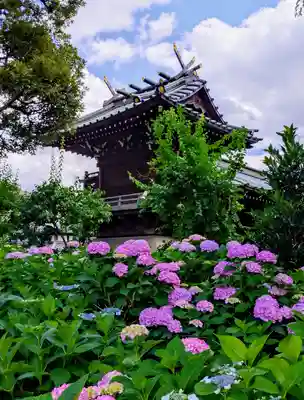 白山神社(東京都)