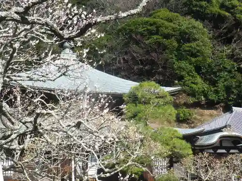瑞泉寺のその他建物