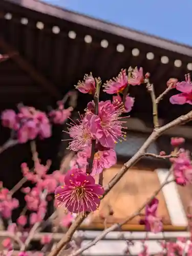 福蔵院(東京都)