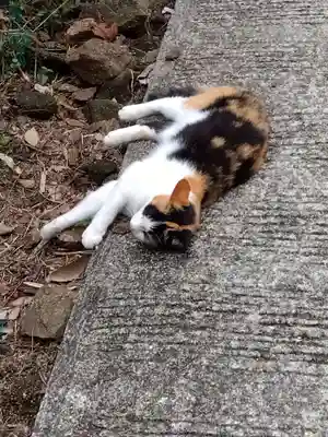 岡寺(龍蓋寺)(奈良県)