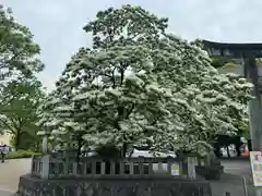 金神社(岐阜県)