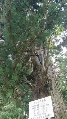 小川温泉神社のその他建物