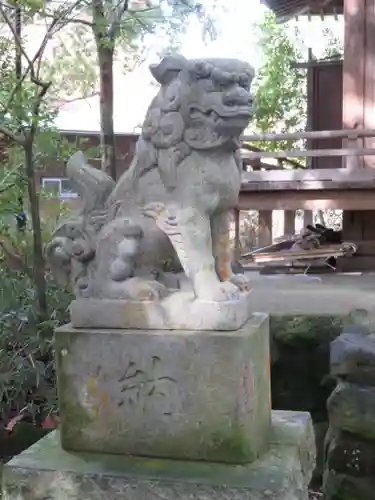 熊野神社の狛犬