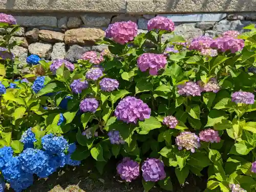 くろ谷 金戒光明寺(京都府)