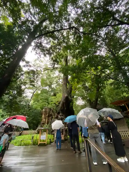 來宮神社(静岡県)
