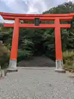 藤島神社(贈正一位新田義貞公之大宮)(福井県)