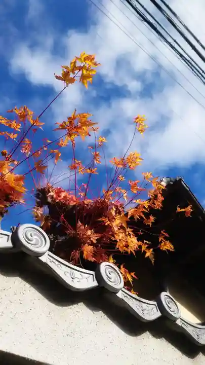 若宮神明社の自然