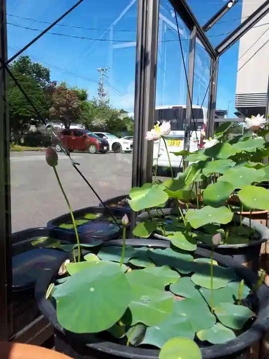 極楽山 浄土寺の自然