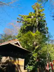 鹿嶋神社(茨城県)