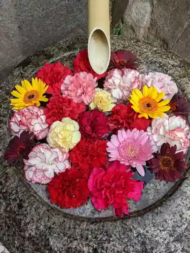 無量寿院宝禅寺の手水舎