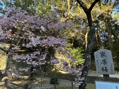 久能山東照宮(静岡県)