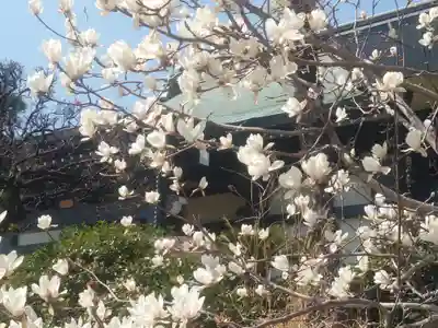 高長寺(神奈川県)