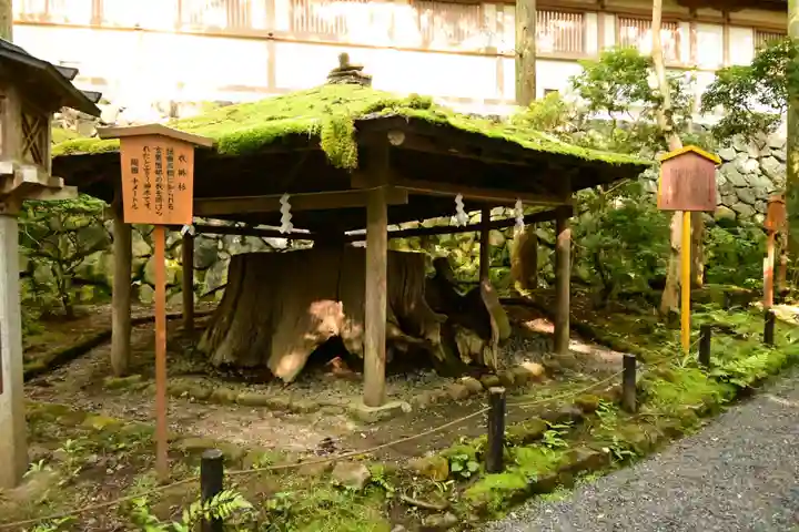 大神神社(奈良県)