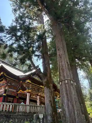 三峯神社(埼玉県)