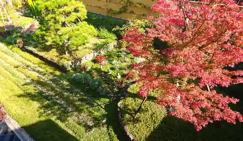 寿量山　速成寺の景色