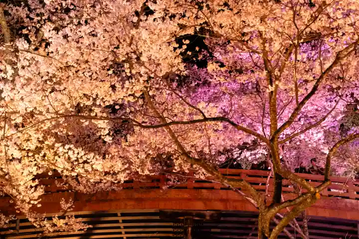 新城藤原神社(長野県)