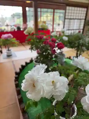 秋葉總本殿可睡斎(静岡県)