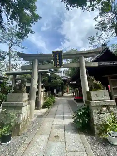 白雲神社の鳥居