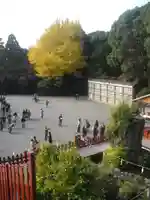 鶴岡八幡宮の景色