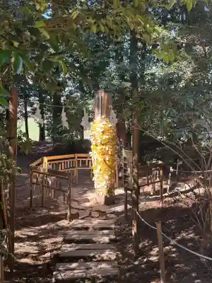 下野 星宮神社の{uncategorized: "未分類", other: "その他", undefined: "問題あり", building: "その他建物", grave: "お墓", sacred_gate: "鳥居", guardian: "狛犬", statue: "像", buddha: "仏像", history: "歴史", nature: "自然", garden: "庭園", animal: "動物", pagoda: "塔", temizu: "手水舎", mountain_gate: "山門・神門", sanctuary: "本殿・本堂", subordinate: "末社・摂社", art: "芸術", scenery: "景色", jizo: "地蔵", ema: "絵馬", goshuin: "御朱印", omikuji: "おみくじ", items: "授与品その他", amulet: "お守り", goshuincho: "御朱印帳", eats: "食事", festival: "お祭り", votive_dance: "神楽", shichigosan: "七五三参", wedding: "結婚式", experience: "体験その他", initially: "初詣", around: "周辺", anti_infection: "感染症対策"}